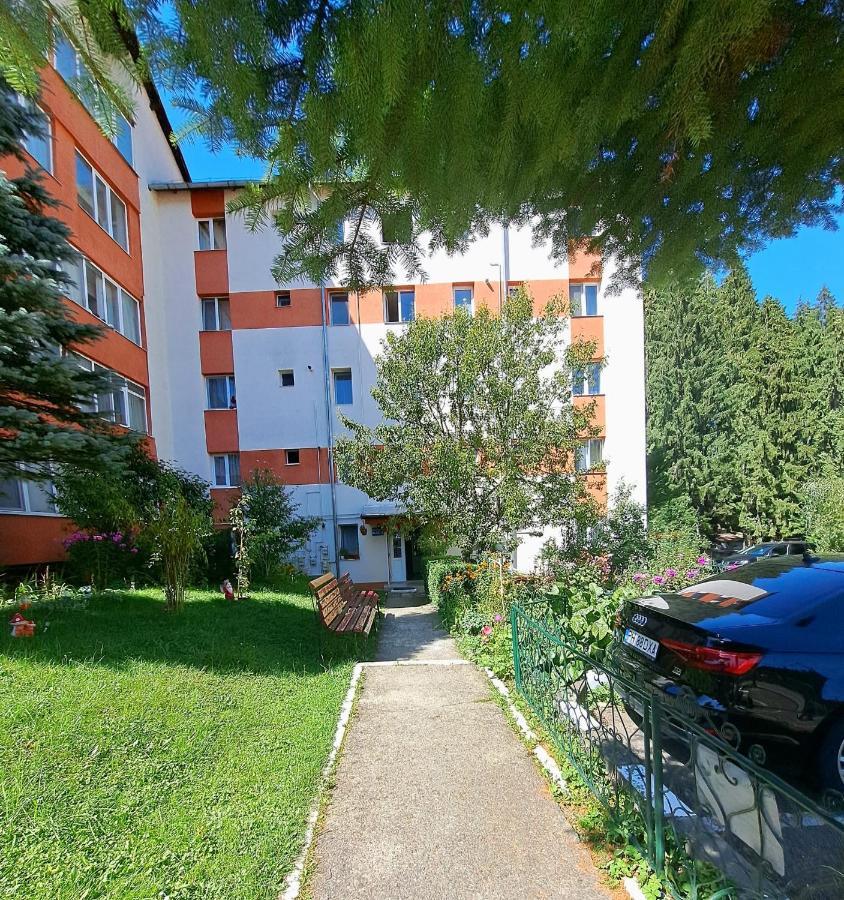 Aviliz Apartament 부스테니 외부 사진