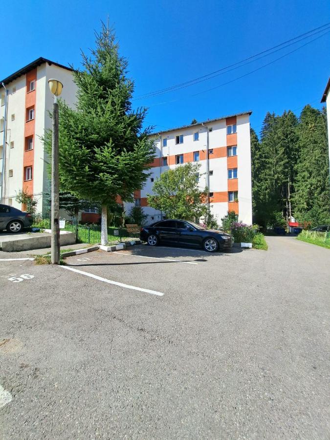 Aviliz Apartament 부스테니 외부 사진